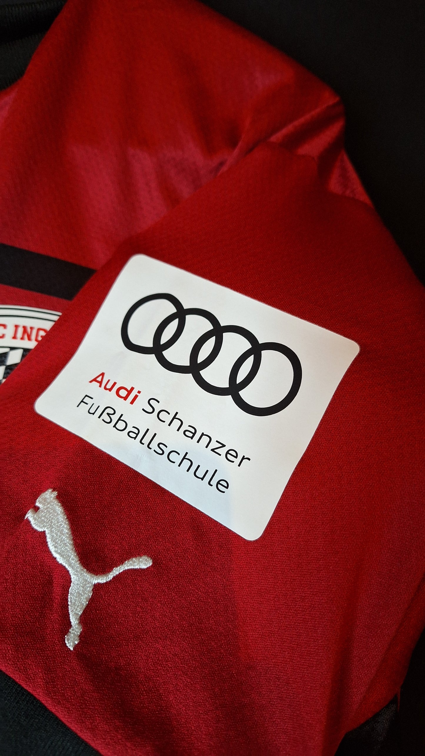 Tricou fotbal Inglostadt 2022-2023, L