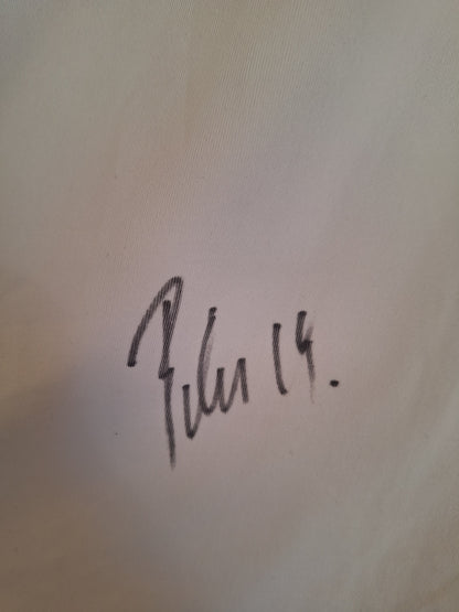 Tricou fotbal 1. FC Kaiserslautern 2010 2011 cu autografe, S