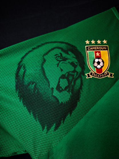 Tricou fotbal Camerun 2010, Eto'o, XL