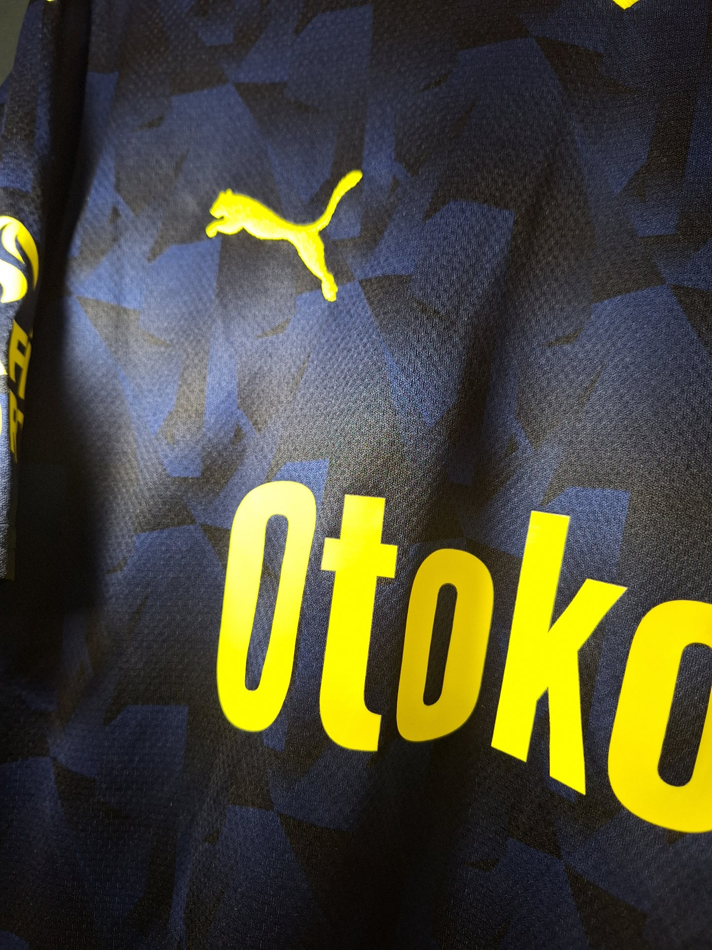 Fenerbahce 2023-2024 third shirt, L