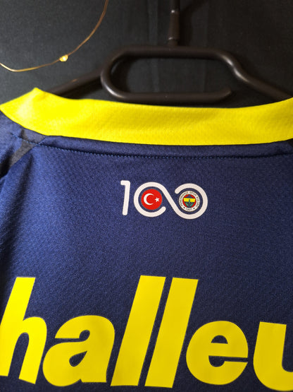 Fenerbahce 2023-2024 third shirt, L