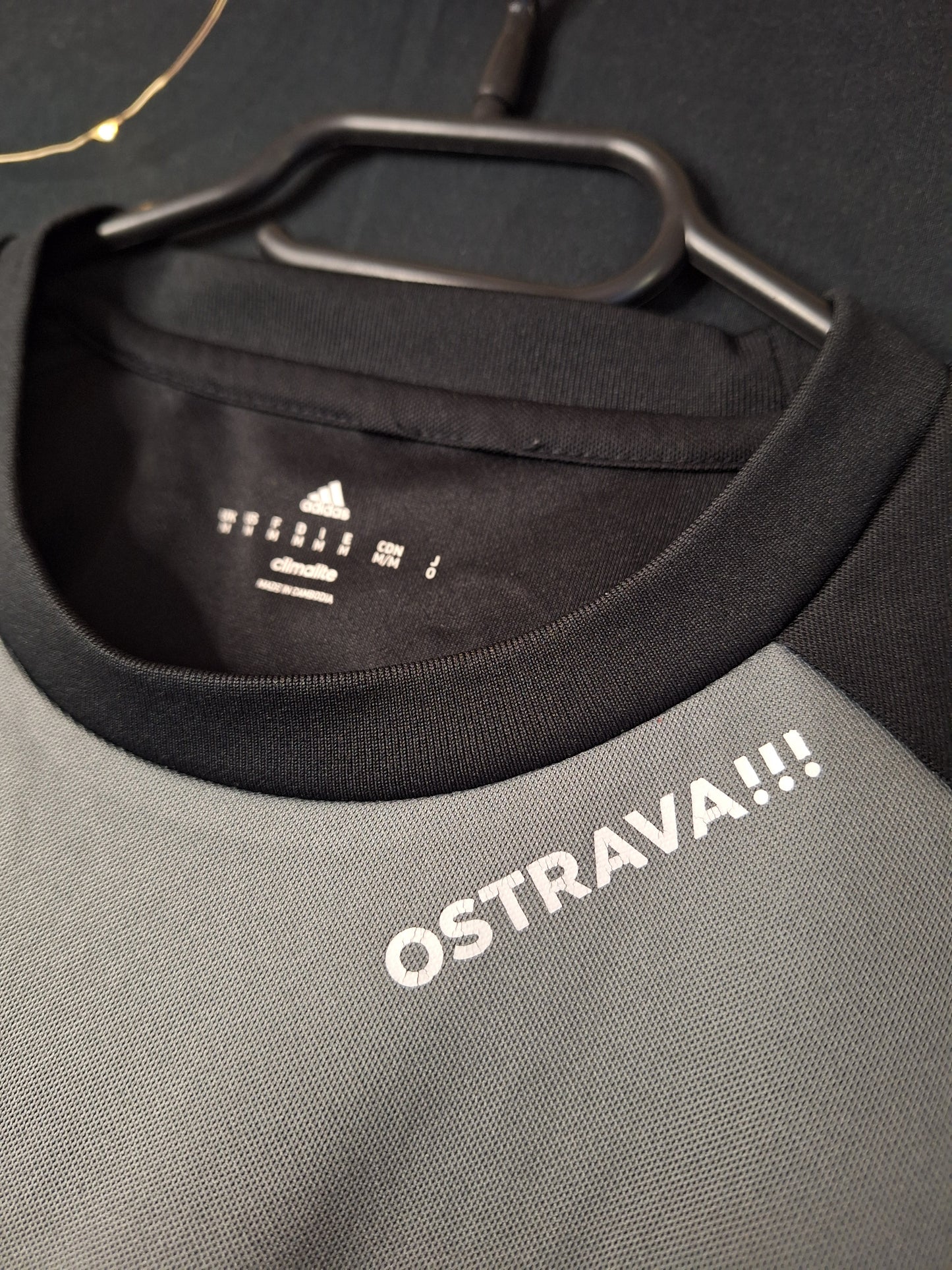 Banik Ostrava 2018-2019 player issue/match worn goalkeeper shirt, Viktor Budinský 30, M