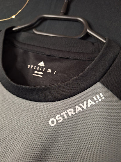 Banik Ostrava 2018-2019 player issue/match worn goalkeeper shirt, Viktor Budinský 30, M