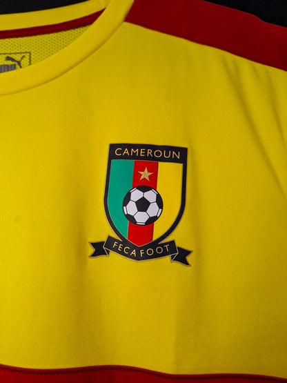 Cameroon 2017 training vest, L