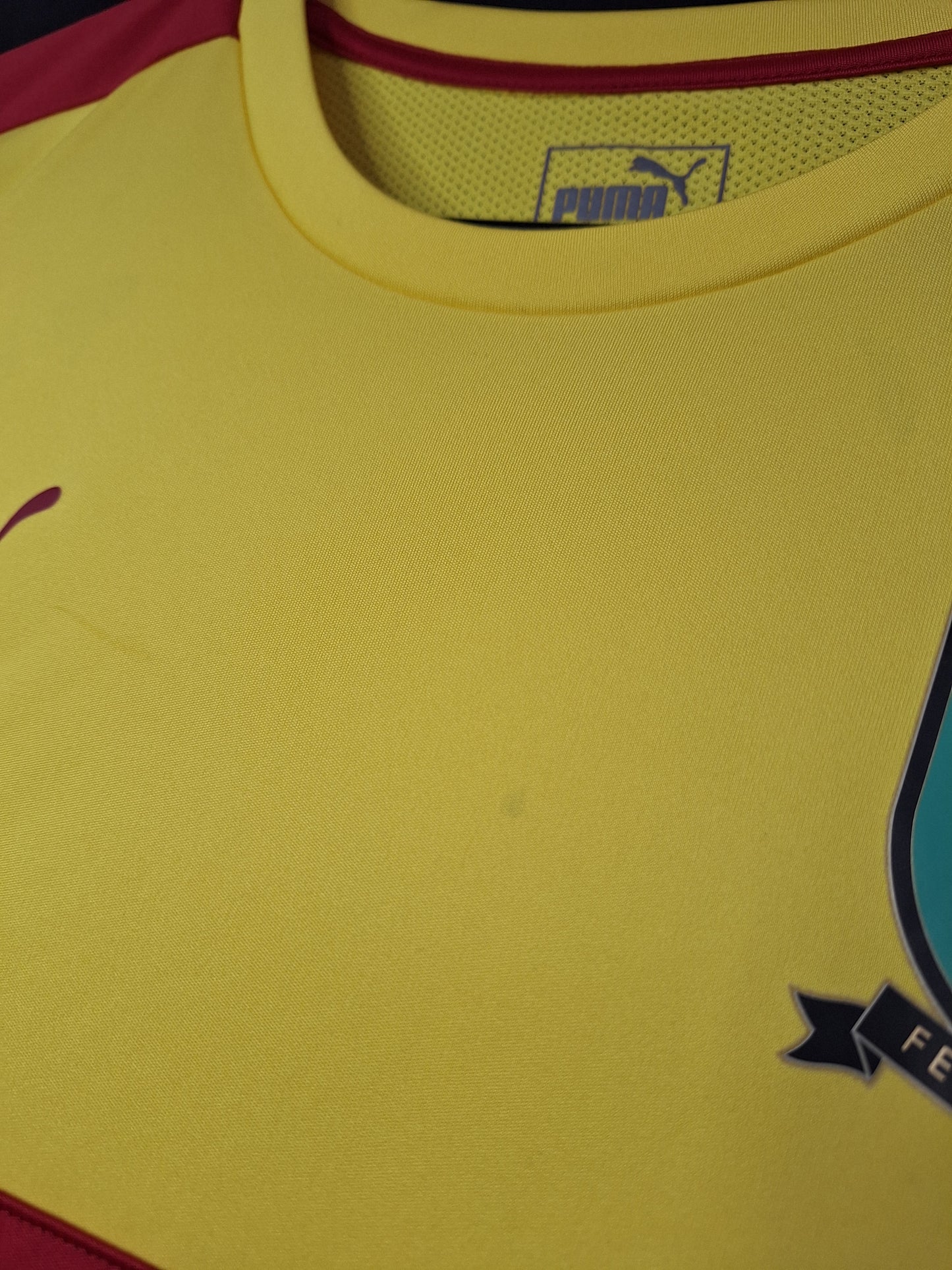 Cameroon 2017 training vest, L