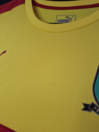 Cameroon 2017 training vest, L