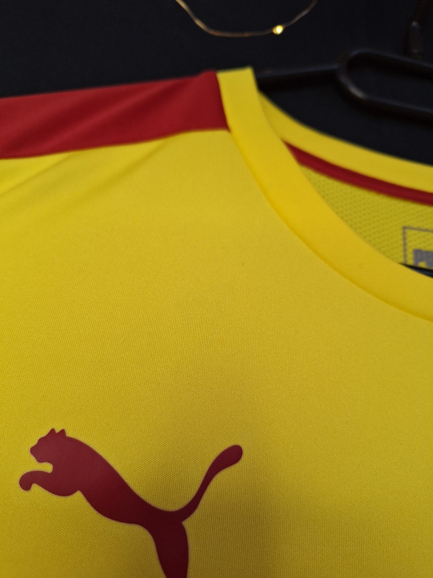 Cameroon 2017 training vest, L