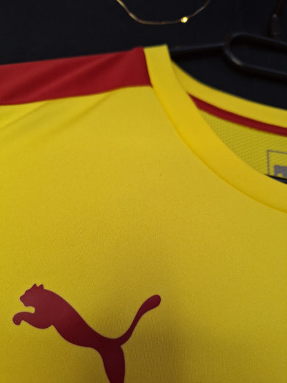 Cameroon 2017 training vest, L