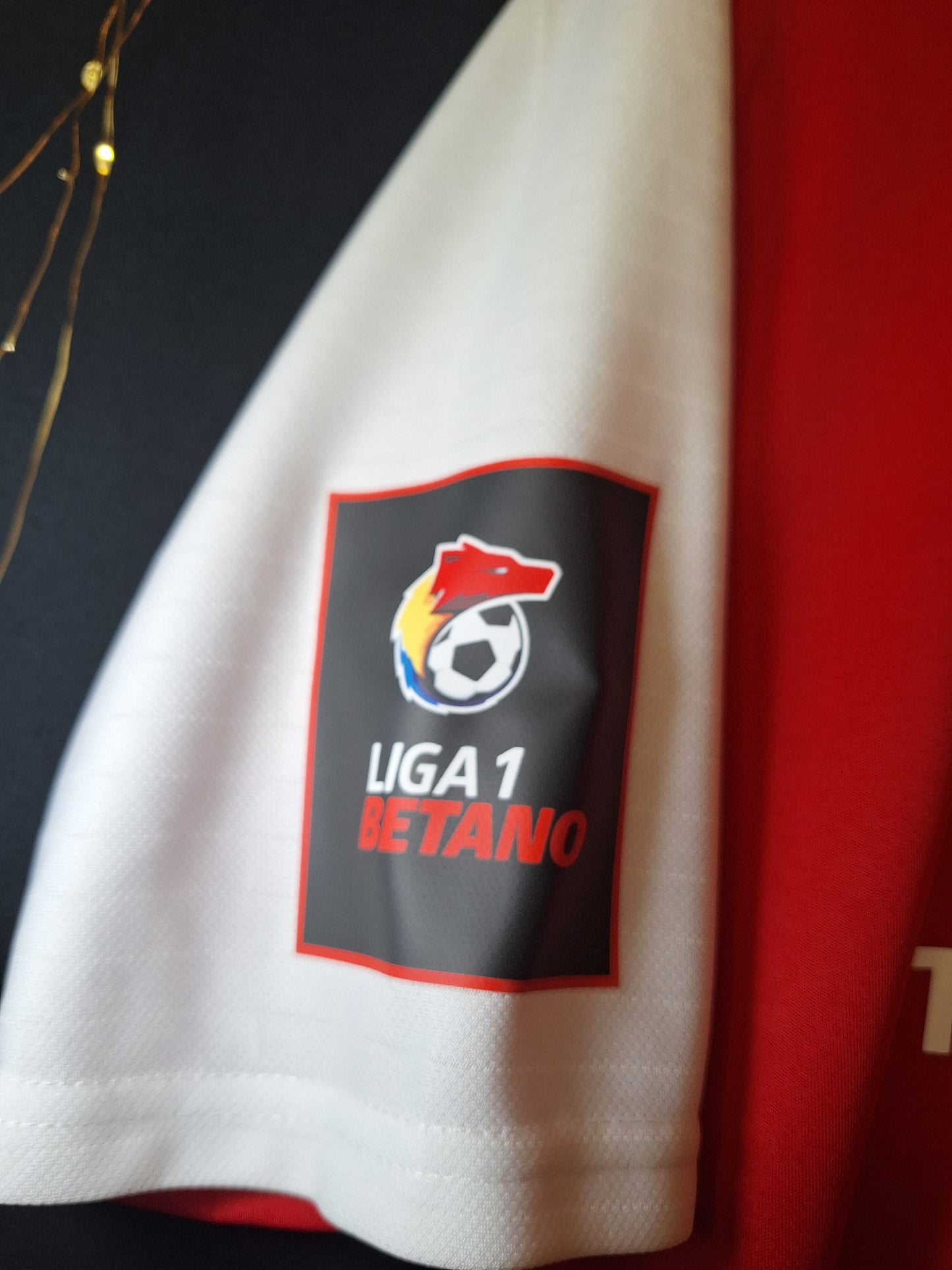 Astra Giurgiu 2019 third shirt, Alibec 7, M