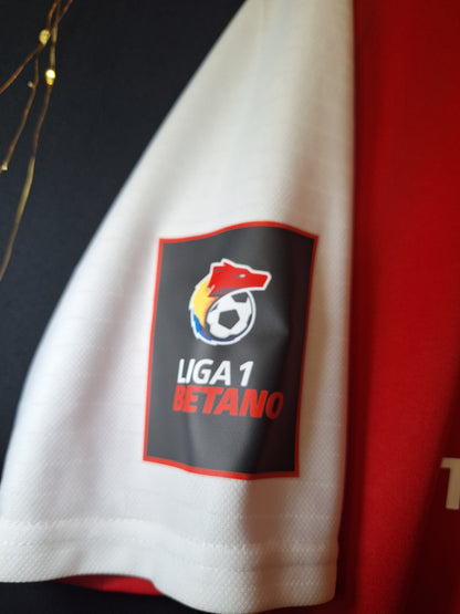 Astra Giurgiu 2019 third shirt, Alibec 7, M