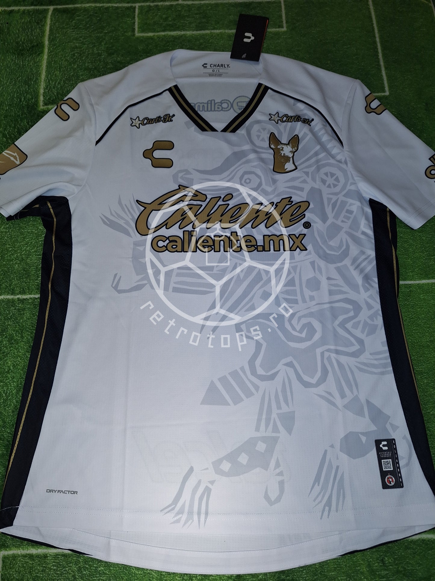 Club Tijuana Away 2024-2025, L