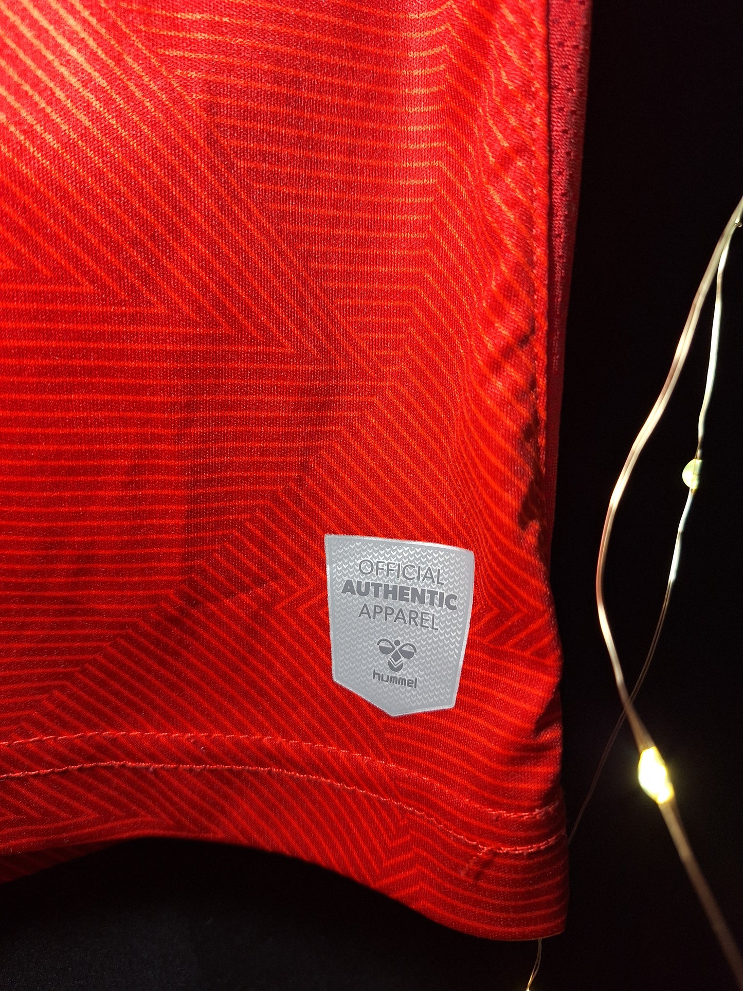 Denmark Hummel training shirt, L