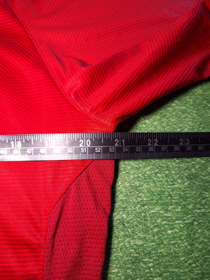 Denmark Hummel training shirt, L