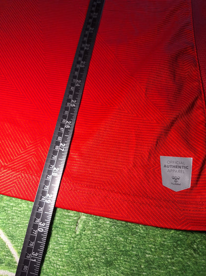 Denmark Hummel training shirt, L
