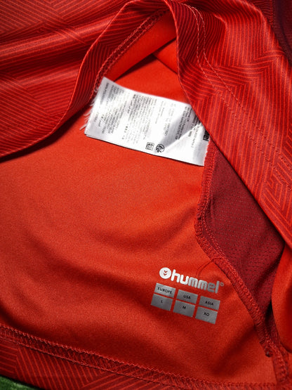 Denmark Hummel training shirt, L