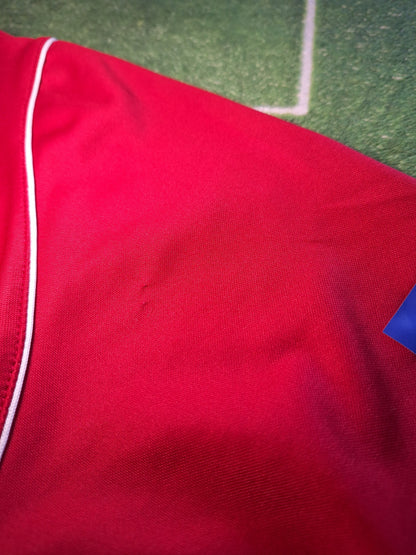 Tricou fotbal Dinamo 2006-2007, Ganea 19, S