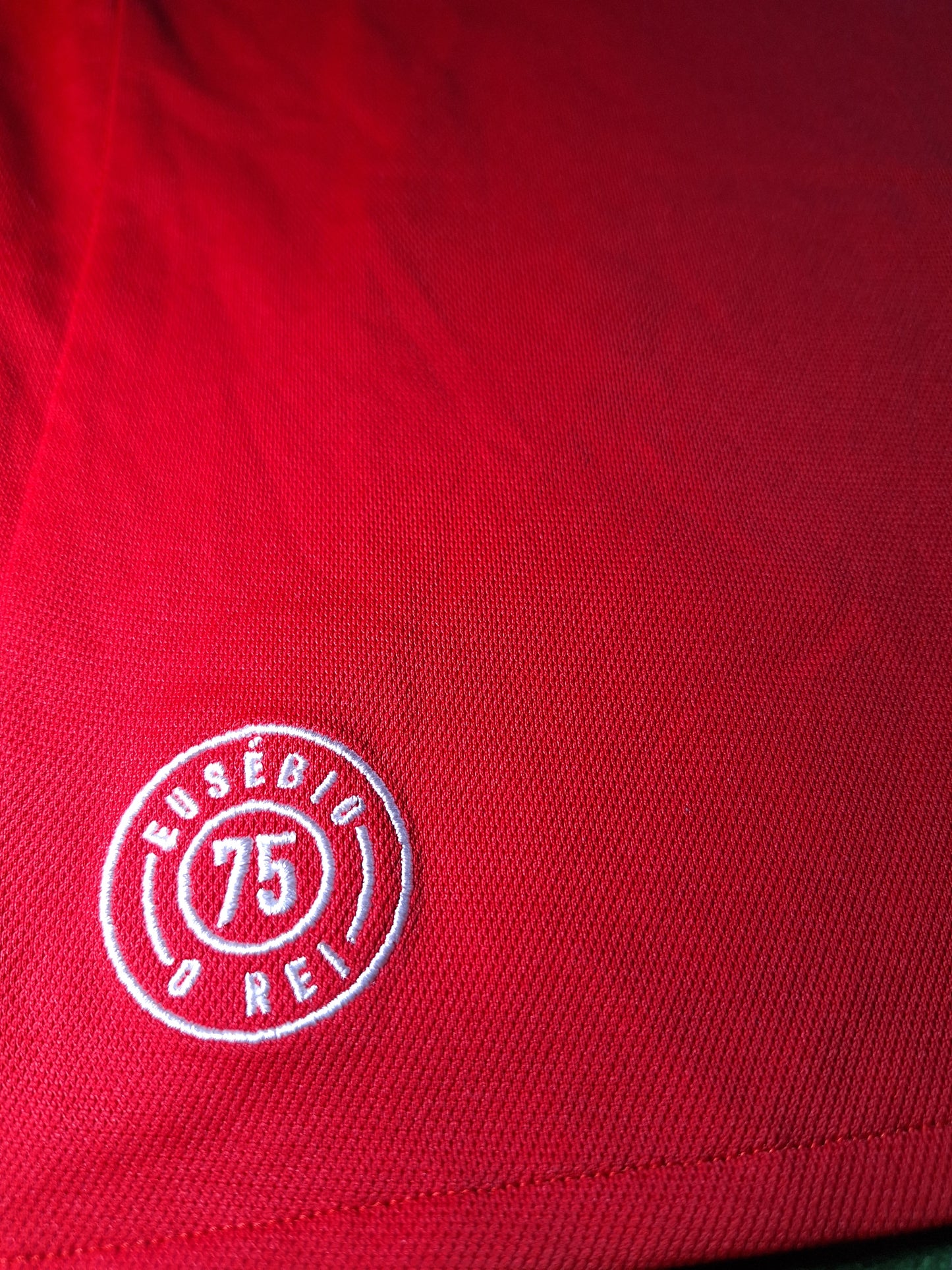 Benfica 2017-2018 shirt, Filippo 10, M Kids (10-11 years)
