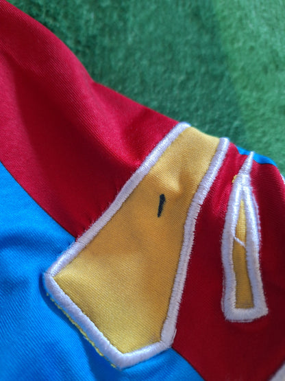 Catania 2008-2009 home shirt, Dica 10, S/M